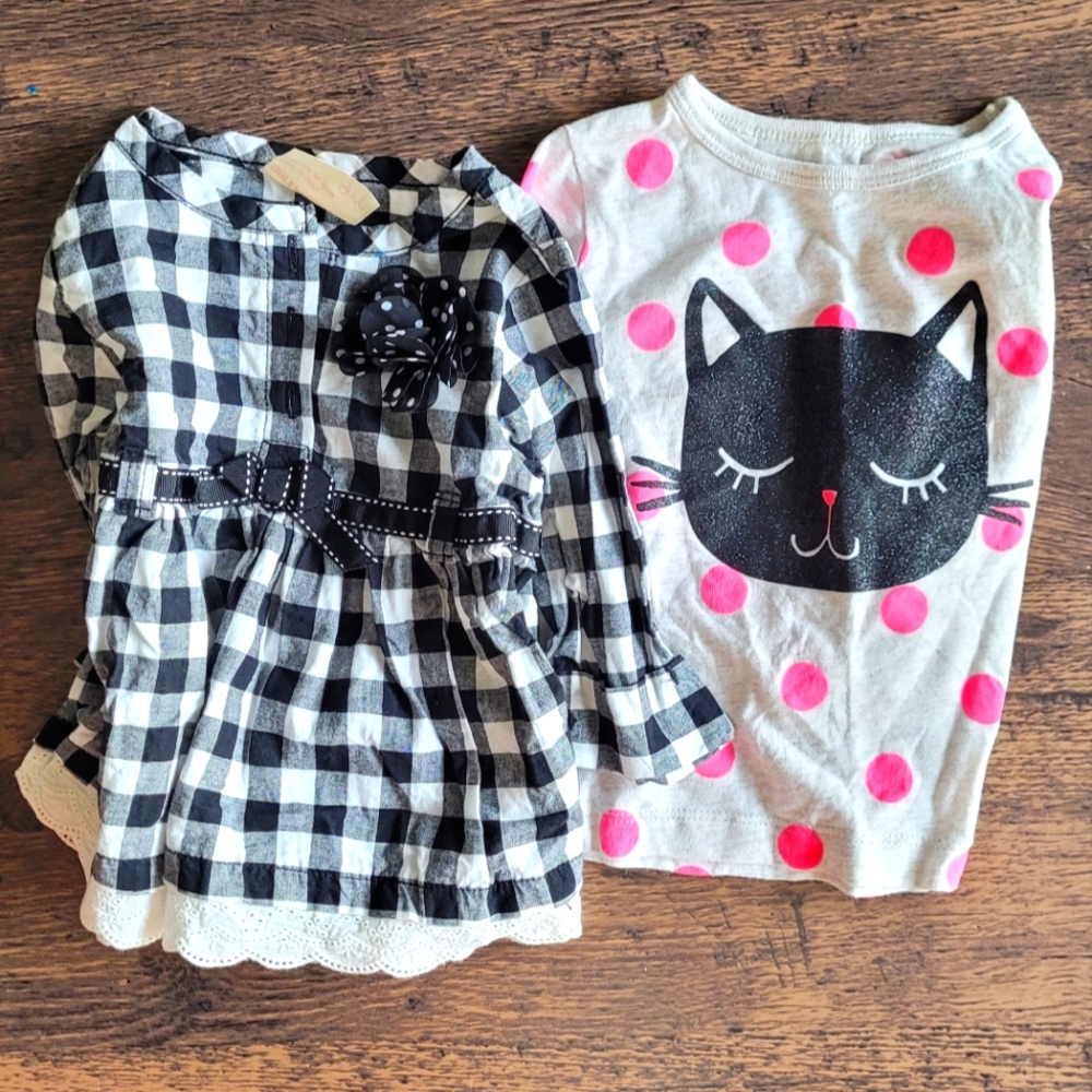 Infant Girl's 9 Month Bundle, Two Shirts